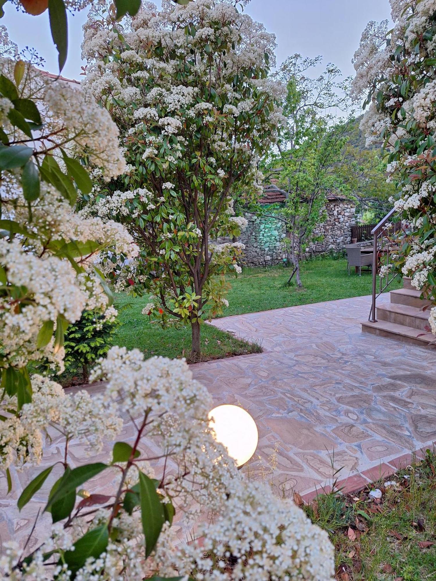 Country House On Mount Olympus Karia  Zewnętrze zdjęcie